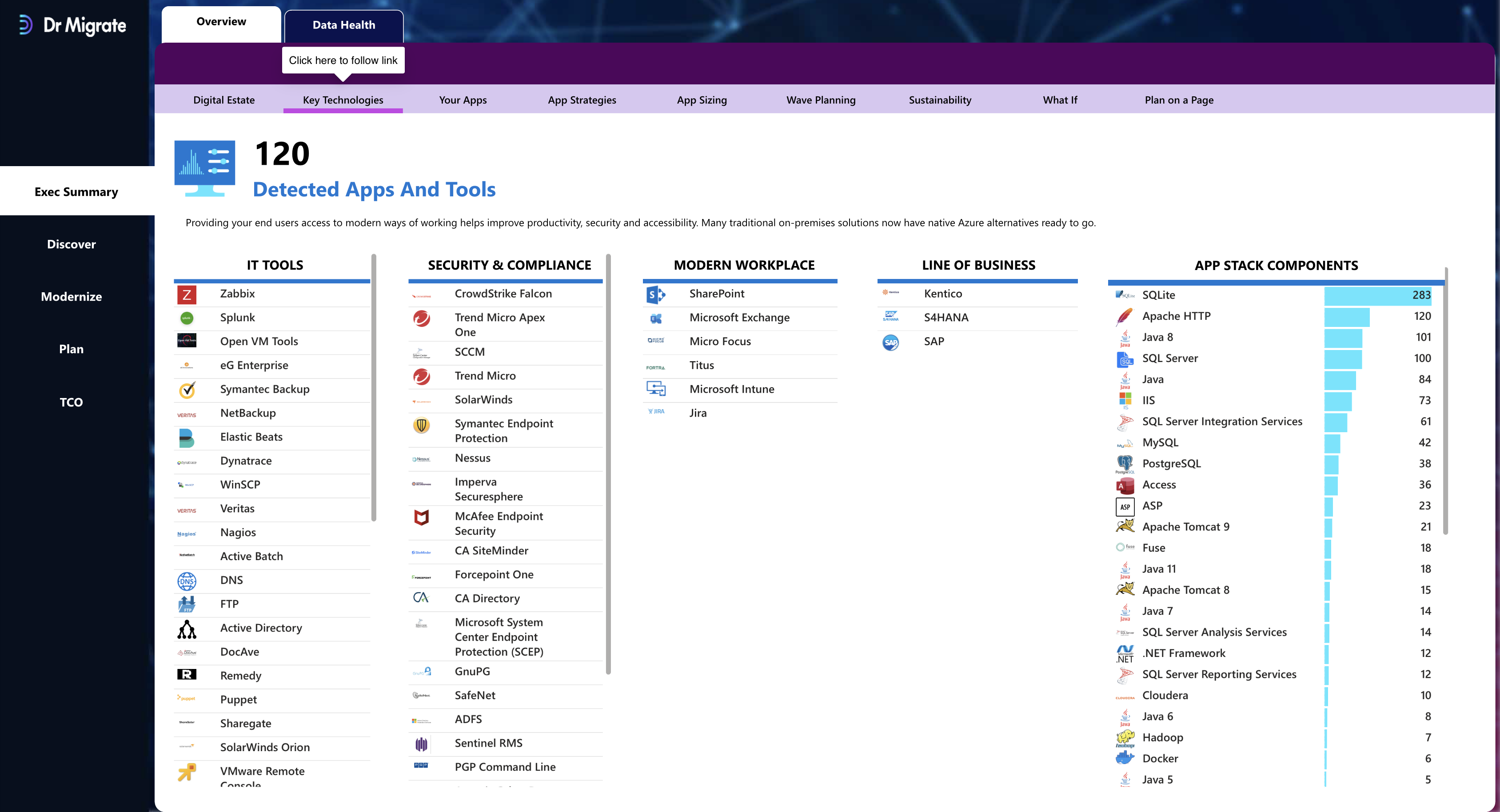 Executive Summary Overview