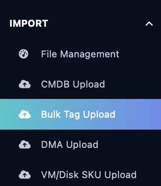 Access Bulk Tags