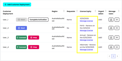SaaS licenses display